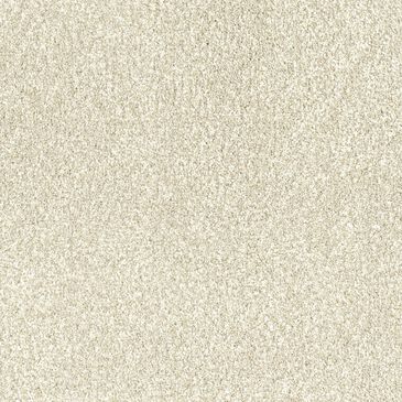 Dixie Home Bolt Carpet in Kayak, , large