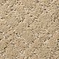 Anderson Tuftex Mosaic Carpet in Oak Ridge, , large