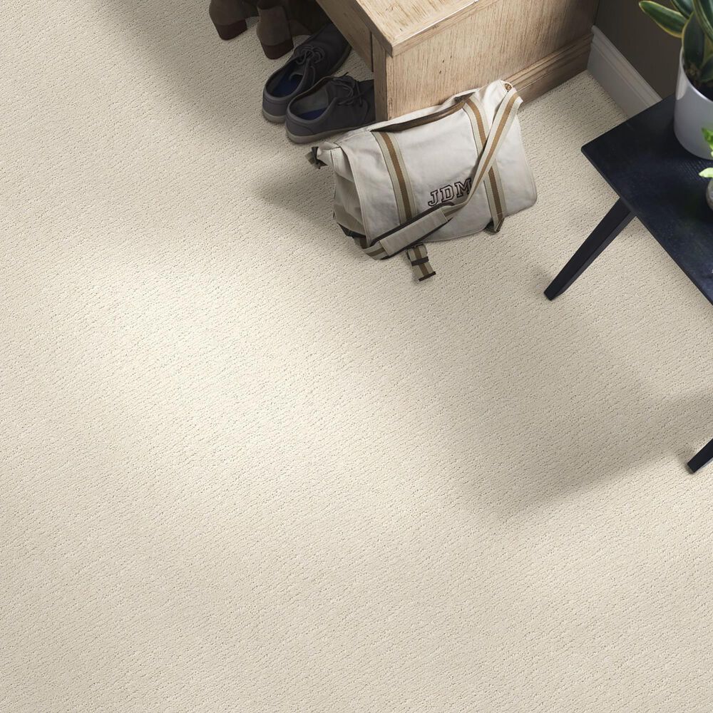 Anderson Tuftex Contour Carpet in Minimal, , large