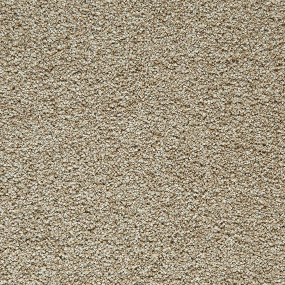 Mohawk Gentle Guardian lV Carpet in Harmony, , large