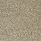 Mohawk Gentle Guardian lV Carpet in Harmony, , large