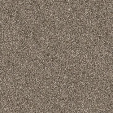 Dixie Home Guard Carpet in Greyhound, , large