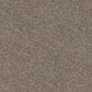 Dixie Home Guard Carpet in Greyhound, , large
