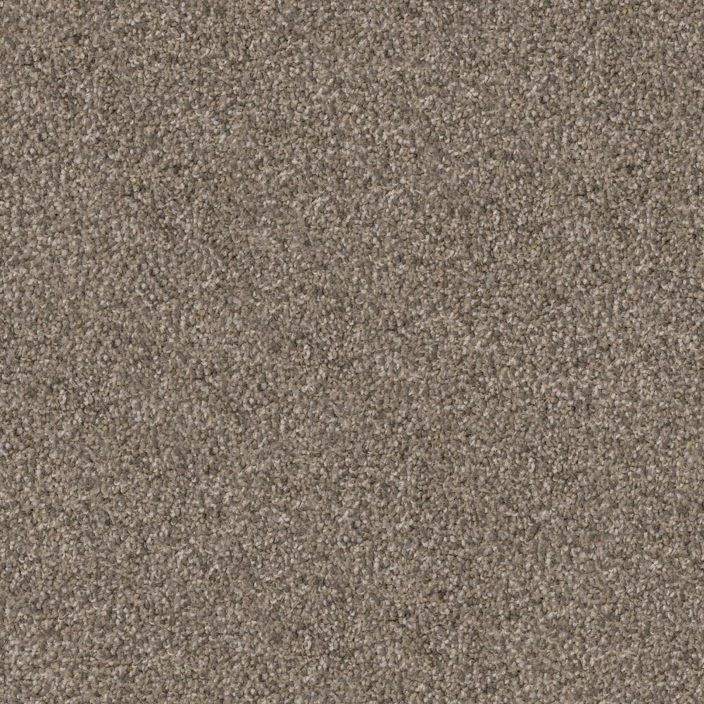 Dixie Home Guard Carpet in Greyhound, , large