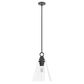 Hunter Klein 14" 1-Light Pendant in Noble Bronze, , large