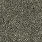 Phenix Tempt Carpet in Tantalize, , large