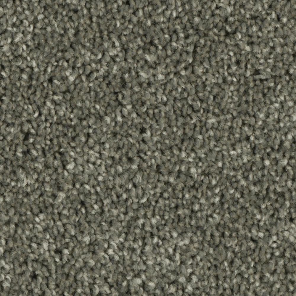 Phenix Tempt Carpet in Tantalize, , large