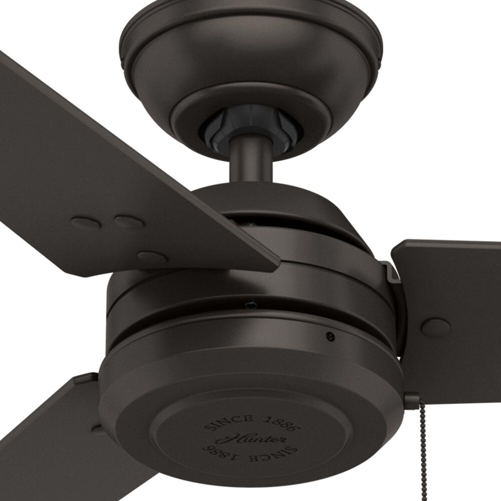 Hunter Cassisus 52&quot; Outdoor Ceiling Fan in Premier Bronze, , large