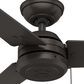 Hunter Cassisus 52" Outdoor Ceiling Fan in Premier Bronze, , large