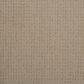 Dixie Home Galliard Carpet in Cork, , large