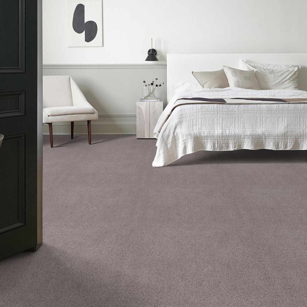 Anderson Tuftex Sumptuous Texture Carpet in Rustic Gray, , large