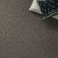 Shaw Shake It Up (T) Carpet in Hammerhead, , large