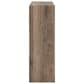 Ashley Shallifer 9-Cube Organizer in Brown, , large