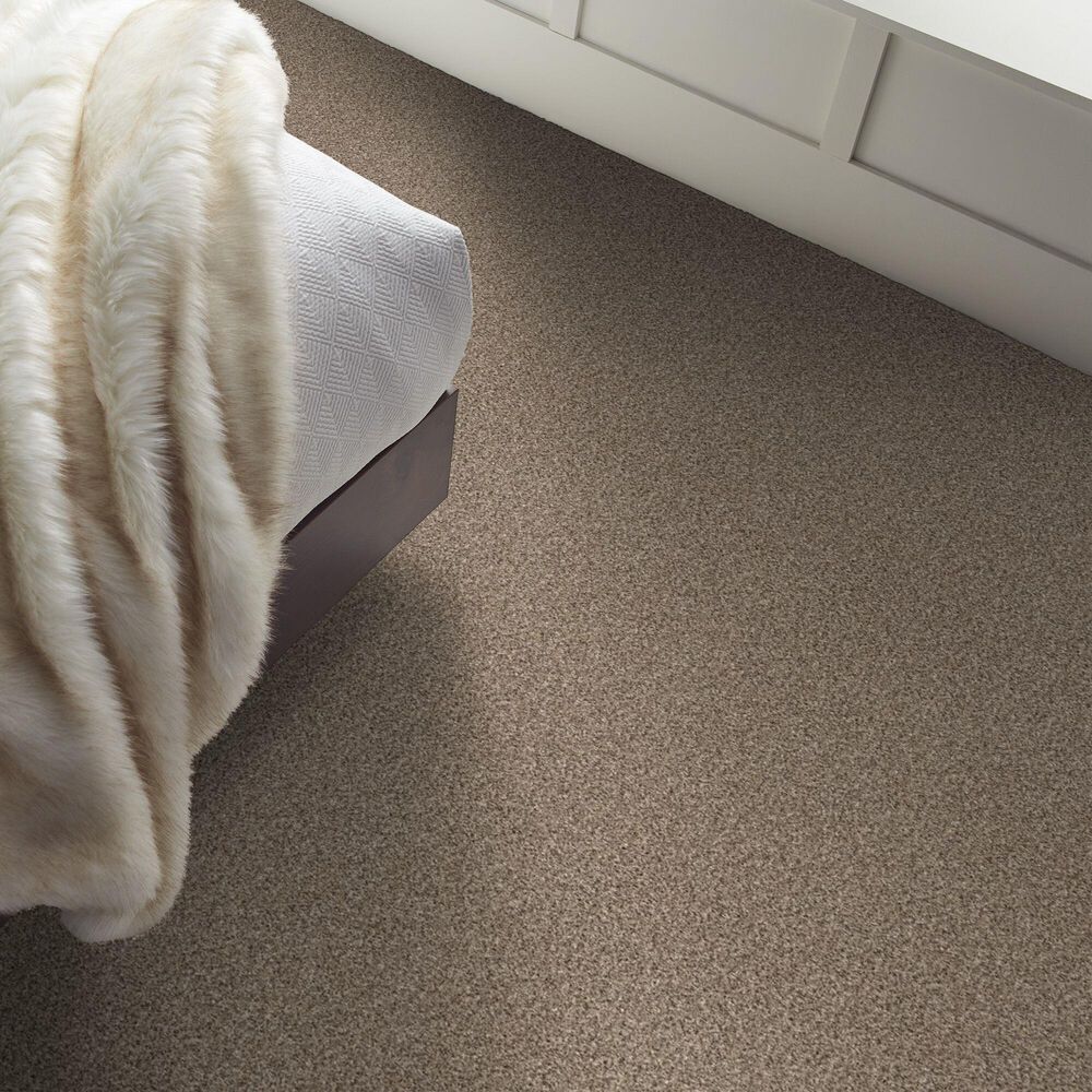 Shaw Yes You Can I Carpet in Sea Shell, , large