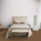Dixie Home Galliard Carpet in Impressive, , large