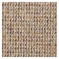 Shaw Speak Out Carpet in Volumize, , large