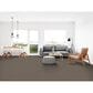 Dixie Home Sensible Carpet in Cobblestone, , large