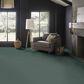 Anderson Tuftex Crochet Carpet in Billiard Room, , large