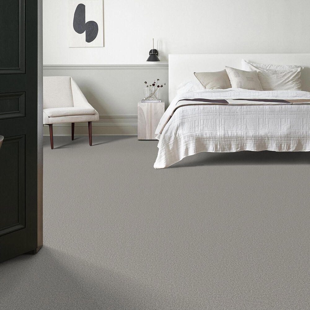 Anderson Tuftex Avalon Bay Carpet in Platinum, , large