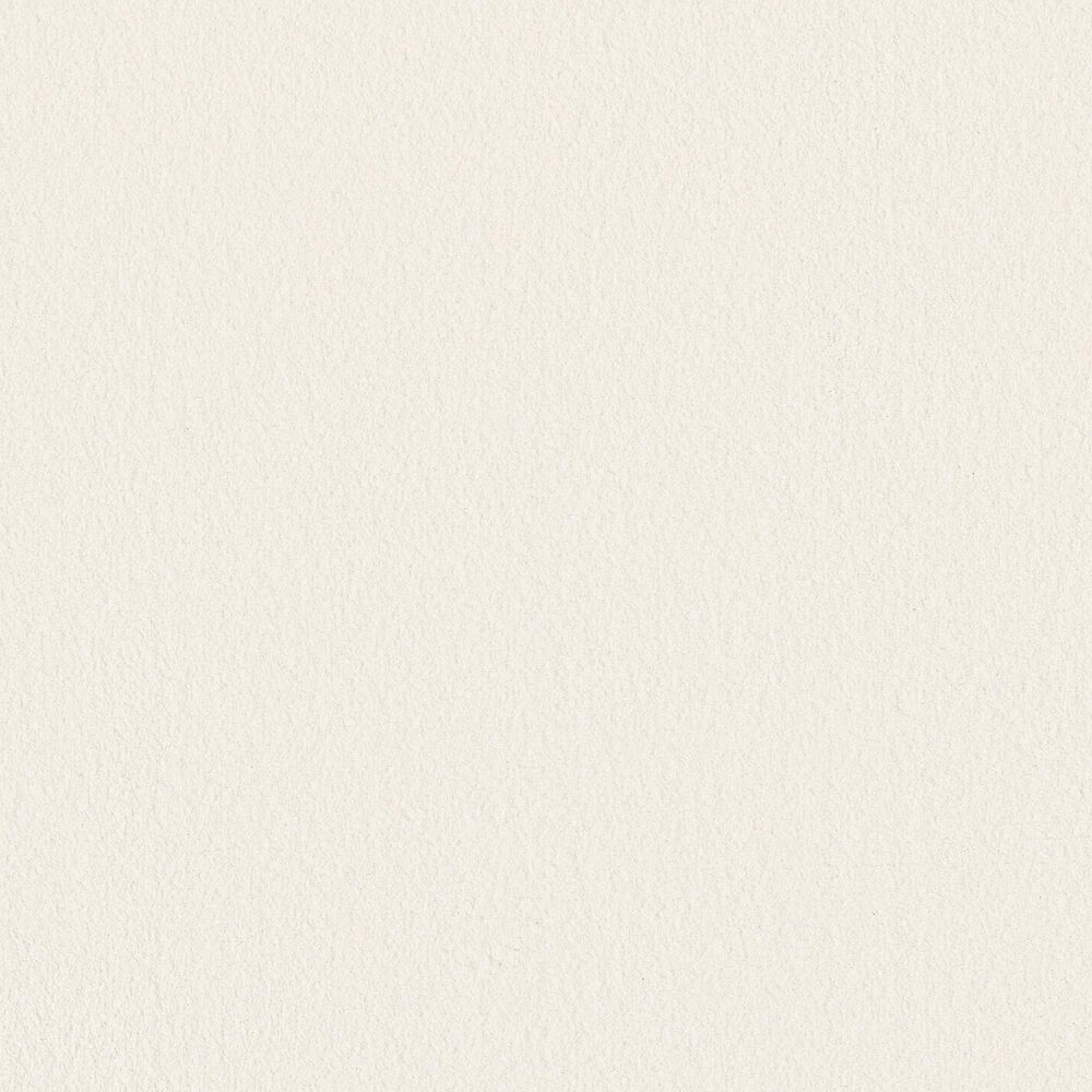 Anderson Tuftex Finery Carpet in Pure White, , large