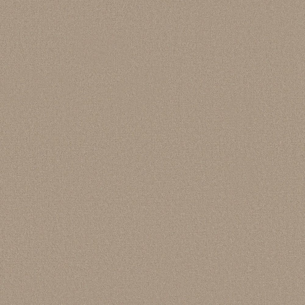 Anderson Tuftex Finery Carpet in Sand Bar, , large