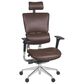 Regency Global Sourcing Omega Ergonomic Executive Office Chair in Chocolate, , large