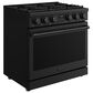Thor Kitchen 6 Cu. Ft. Contemporary Professional Freestanding Gas Range in Black, , large