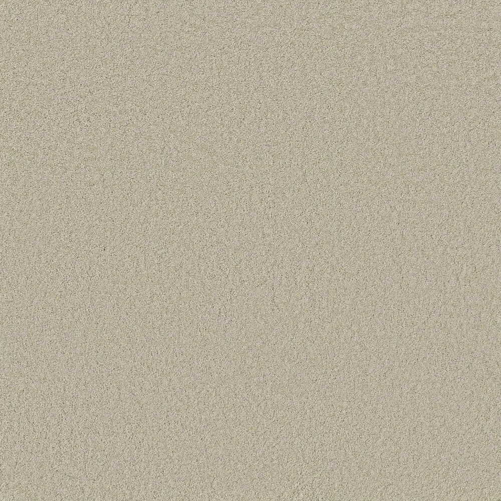 Anderson Tuftex Enchanting Carpet in Aloe Wash, , large