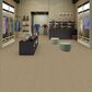 Shaw Be Real Carpet in Purpose, , large