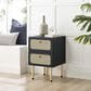 Modway Chaucer 2 Drawer Nightstand in Black, , large