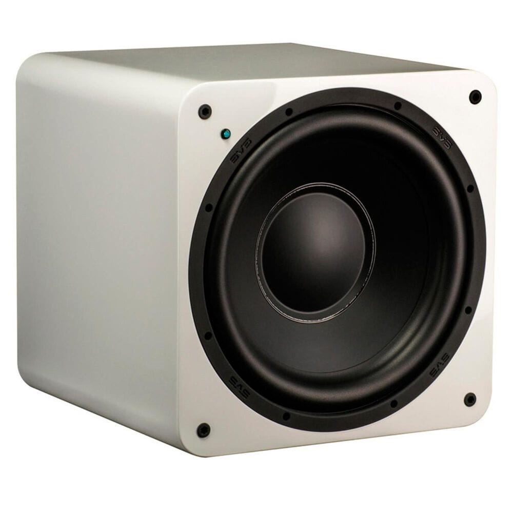 SVS 12" 300 Watt Subwoofer, , large