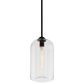 Troy Lighting District 8" 1-Light Pendant in Soft Black and Clear, , large