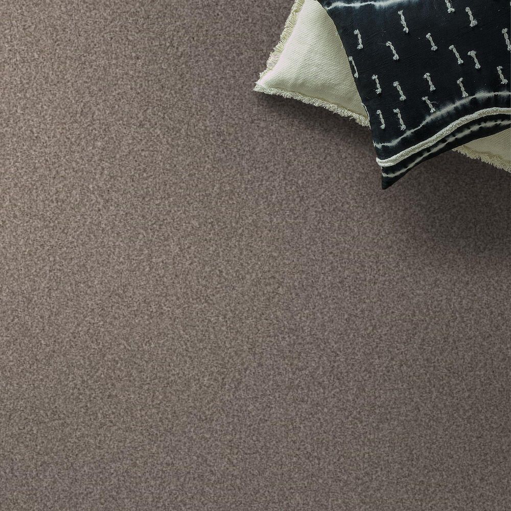 Anderson Tuftex Terra Nova Carpet in Pashmina, , large