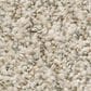 Shaw Make it Work Carpet in Cocoa Butter, , large