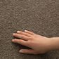 Philadelphia Champagne Taste II Carpet in Timberlake, , large