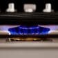 Signature Kitchen Suite 36" Gas Cooktop in Stainless Steel, , large