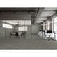 Emser Passion Gris 3" x 8" Glossy Porcelain Tile, , large