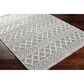 Surya Daffodil Southwestern 8" x 10" Light Grey and Natural Area Rug, , large
