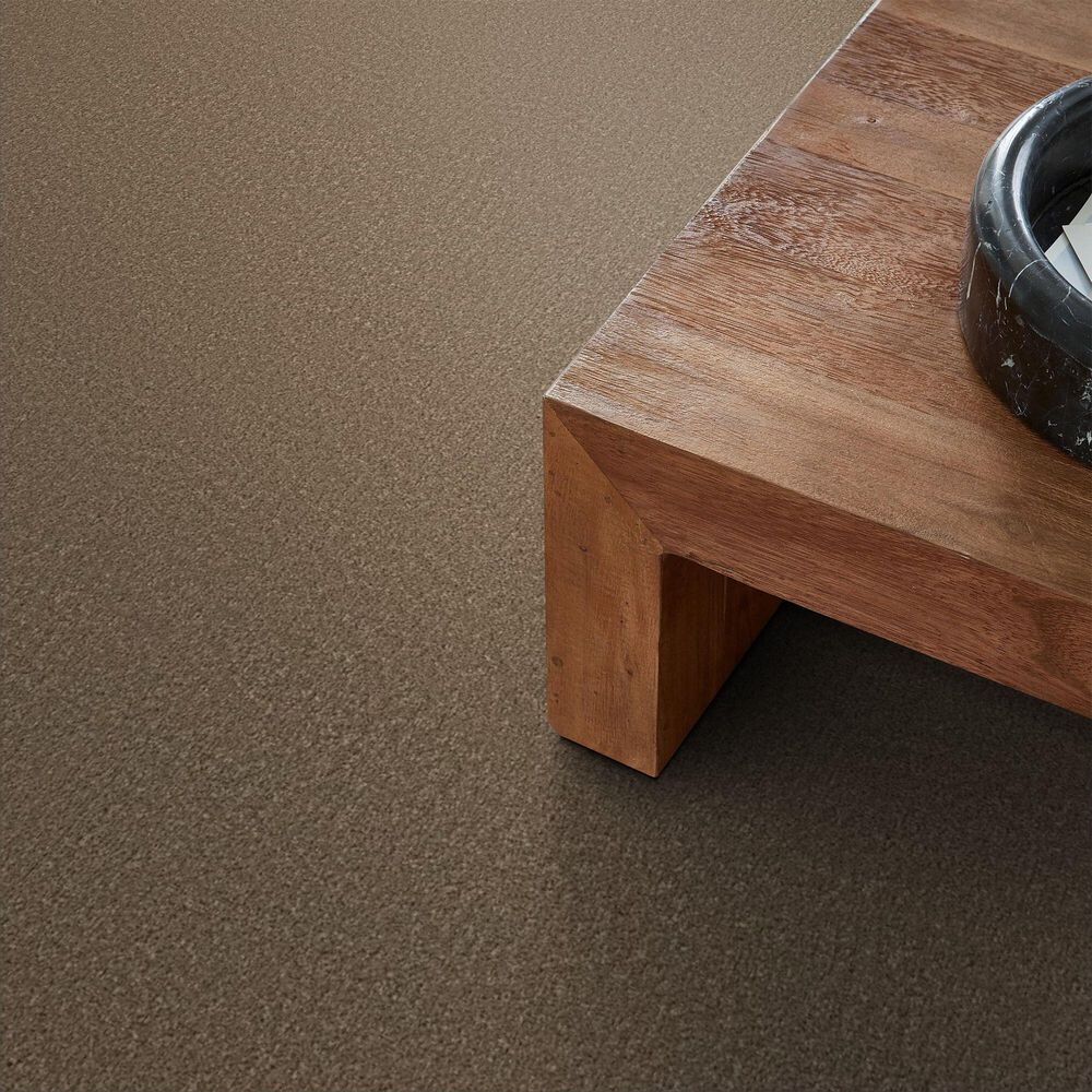 Shaw Posh Life Carpet in Mission Ridge, , large