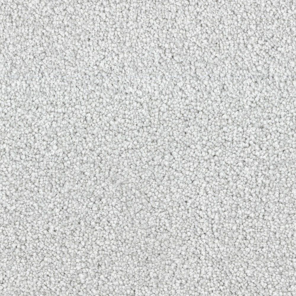 Dixie Home Big Splash Carpet in Pebble, , large