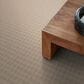 Anderson Tuftex Imagination Carpet in Paris Cafe, , large
