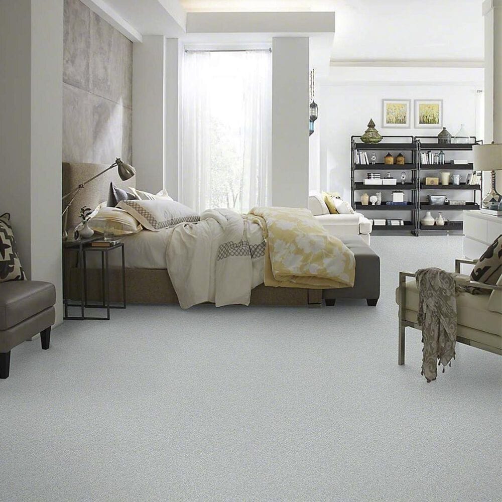 Anderson Tuftex Barracan Classic II Carpet in Beach Glass, , large
