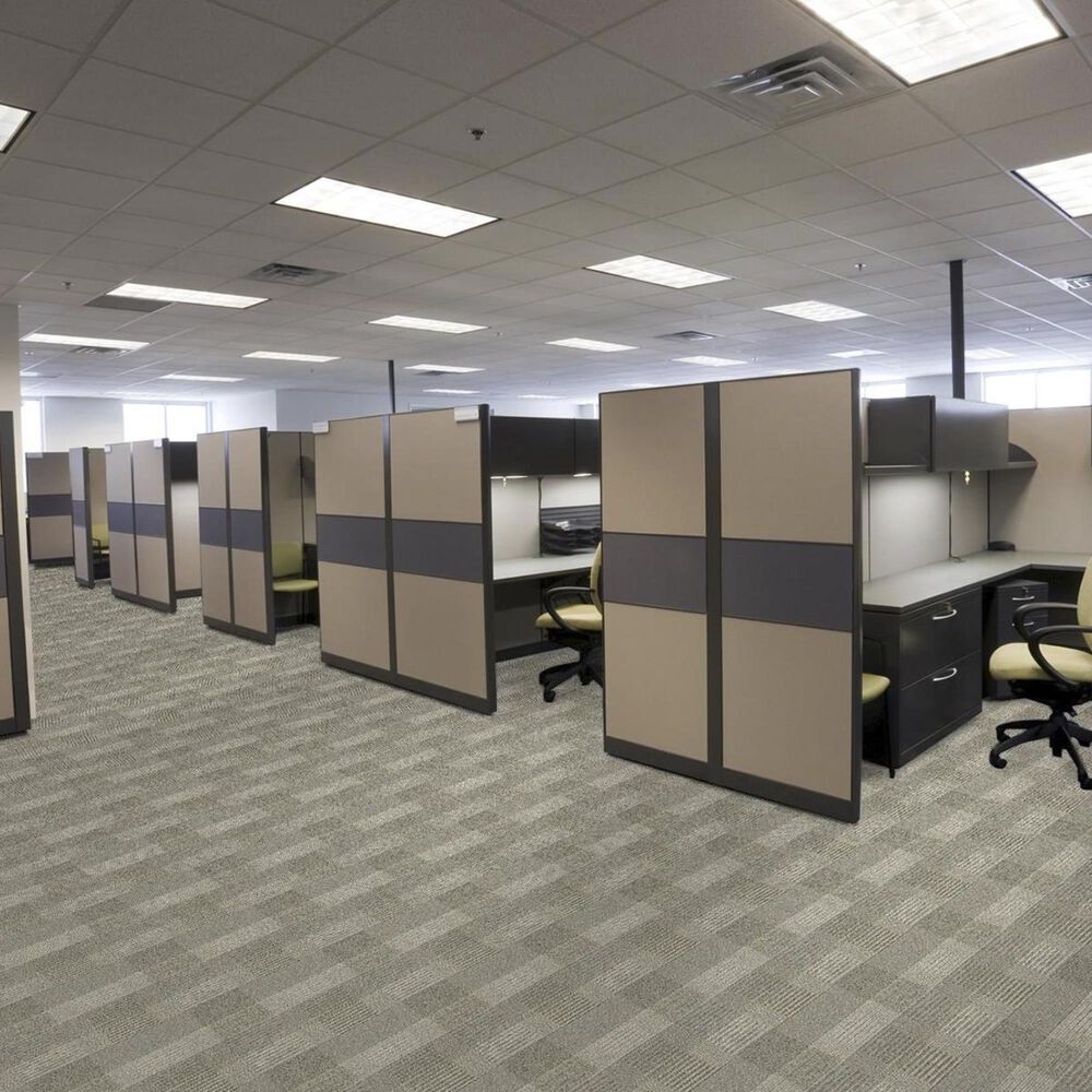 Philadelphia Square Deal Carpet in Conformity, , large
