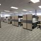 Philadelphia Square Deal Carpet in Conformity, , large