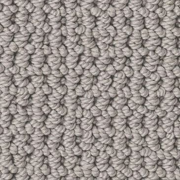 Anderson Tuftex Arden Park Carpet in Metalwork, , large