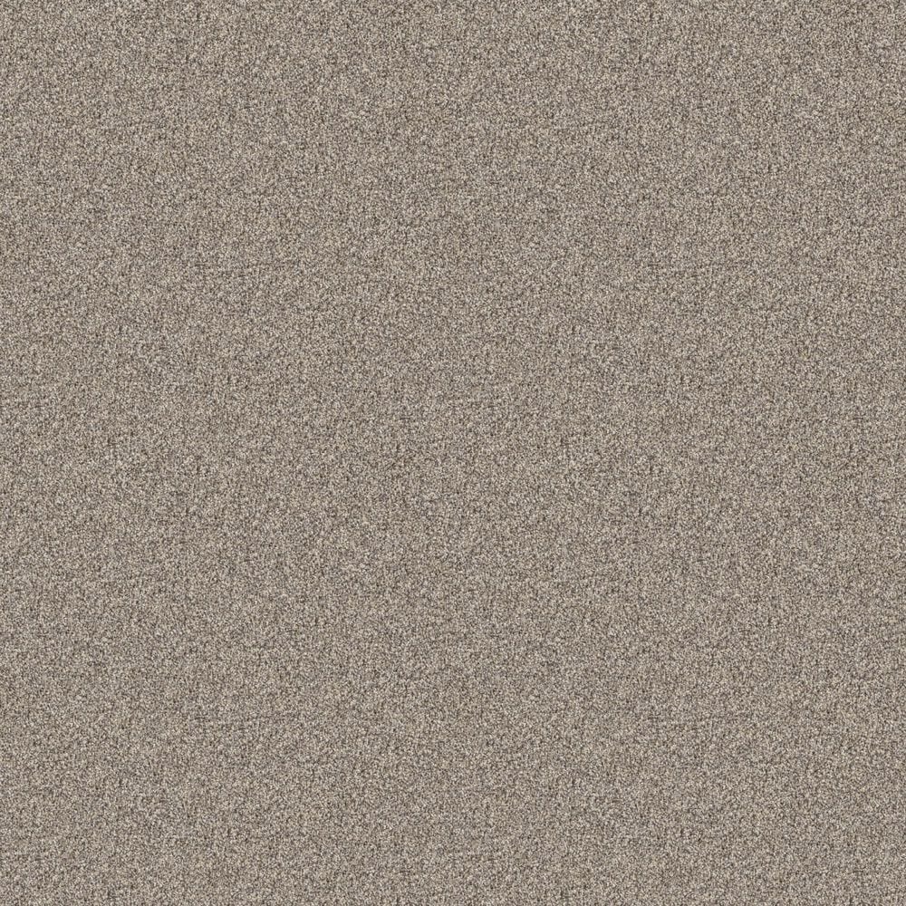 Shaw Influencer Carpet in Sandstone, , large