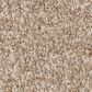 Anderson Tuftex Terra Nova Carpet in Beach Grass, , large