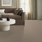 Anderson Tuftex Terra Nova Carpet in Meditation, , large