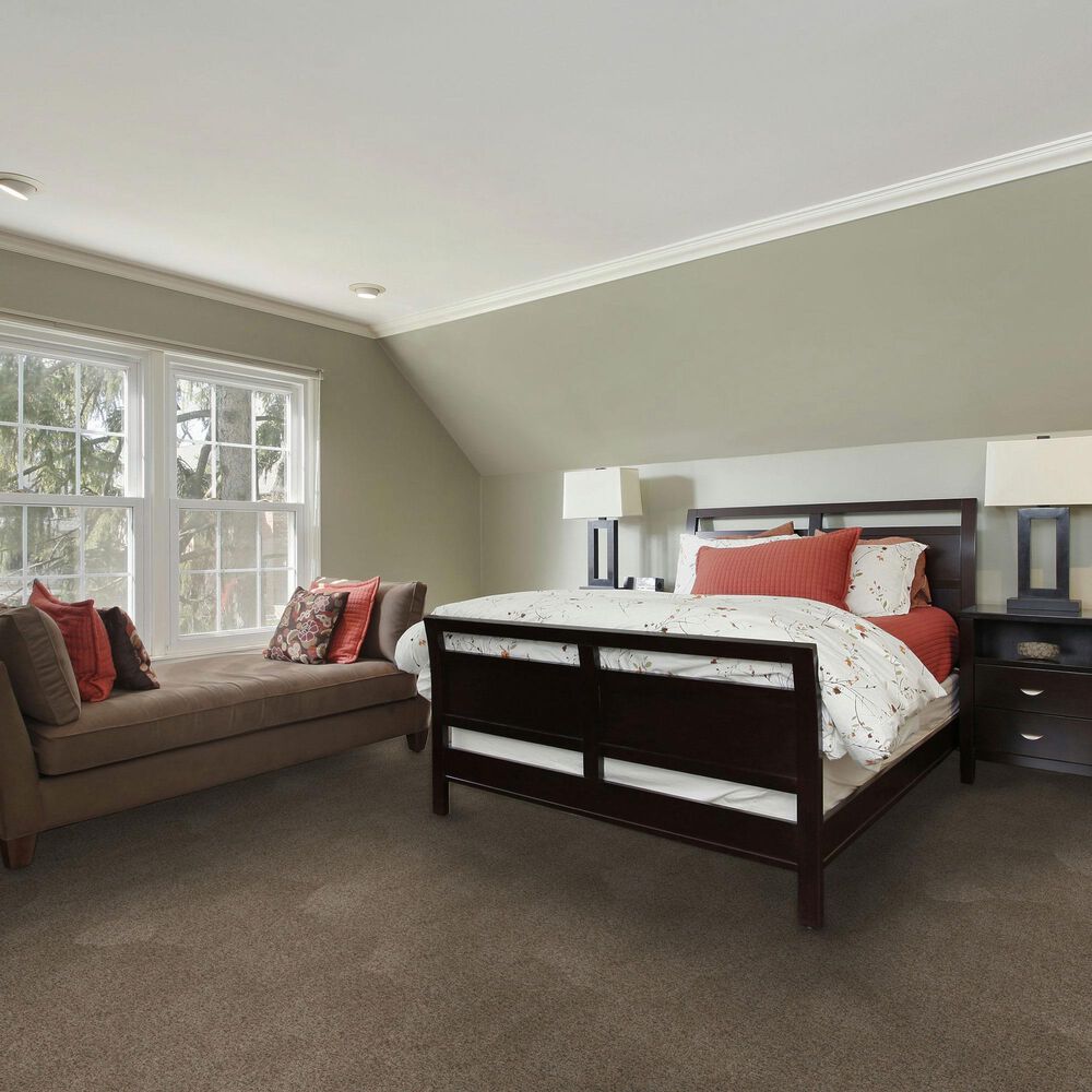 Dream Weaver Serene I Carpet in Shellbark, , large