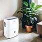 Whirlpool 50-Pint E-Star Dehumidifier in White, , large